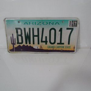 ARIZONA LICENSE PLATE GRAND CANYON STATE DESERT SCENE: BWH4017 2017